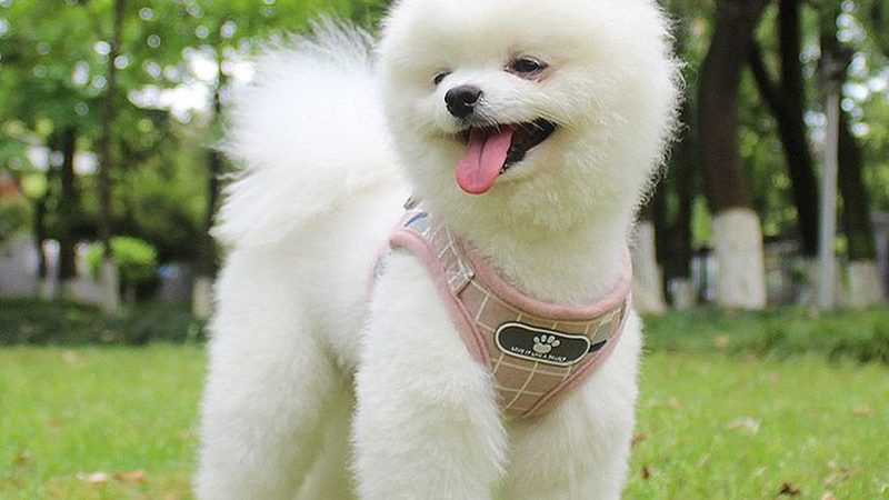医药冷库板材，如何挑选品质与安全的守护者
